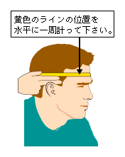 サイズ見本